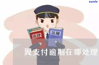 翼支付逾期一年多了怎么办