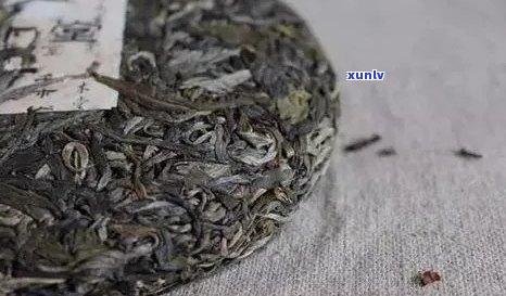 紫藤普洱茶排行榜