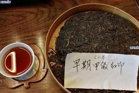 哪个的有机普洱茶好喝