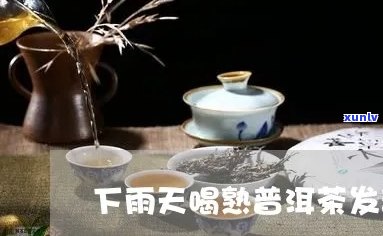 下雨天煮普洱茶好吗吗