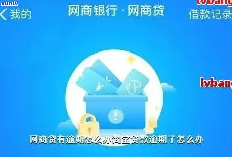 支付宝网商贷还不上能申