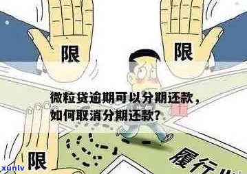 微粒贷和借呗逾期先还哪个更合适