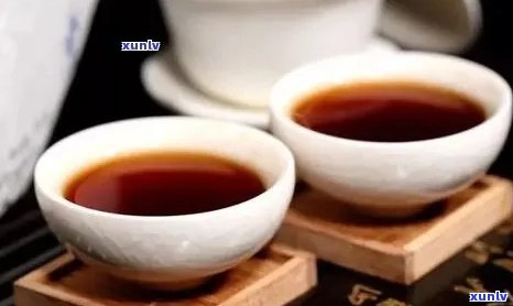 冷萃普洱茶怎么样