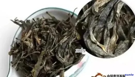 怎么区分普洱茶异味重好坏