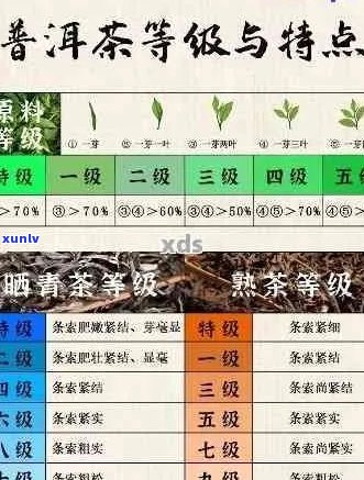 怎么区分普洱茶异味重好坏