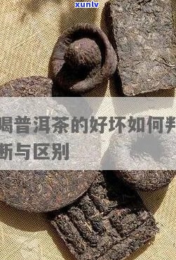 怎么区分普洱茶异味重好坏