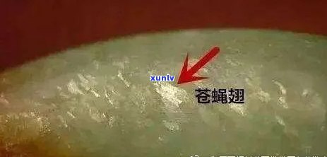 翡翠都有苍蝇翅吗