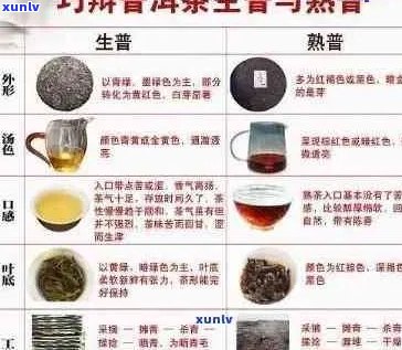 深度解析普洱茶之味