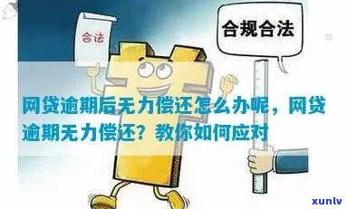 网贷逾期暂时无力偿还怎么解决