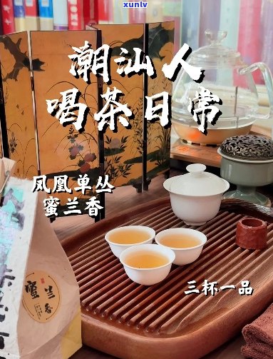 潮汕人的喝茶日常