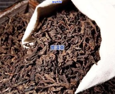 普洱茶熟茶选哪个好