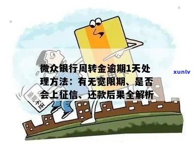 微众银行备用金逾期一年需要注意什么