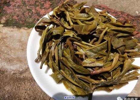 30年普洱老茶特点