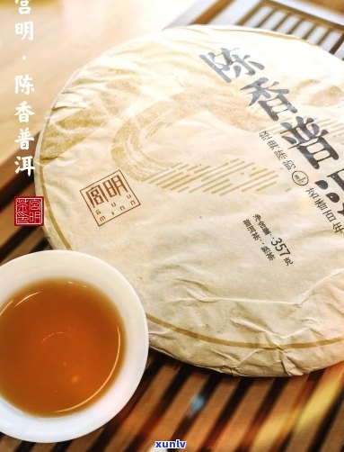 普洱茶饼日常喝