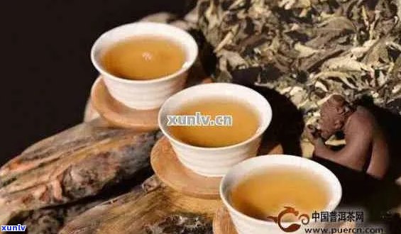 简述普洱茶的特点是什么