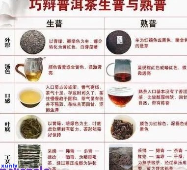 简述普洱茶的特点是什么