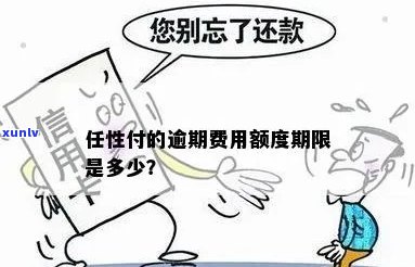 任性付逾期怎么处罚