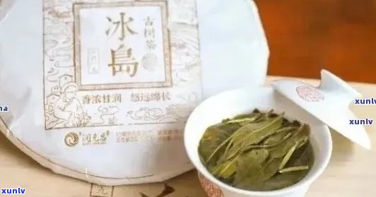 冰岛茶属于什么类