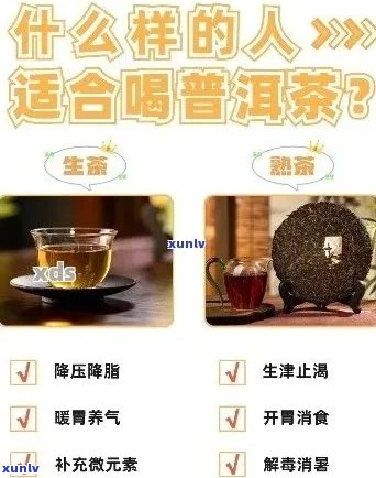 专家说普洱茶不好喝是真的吗