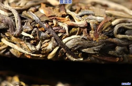 7年的生普洱茶怎么样