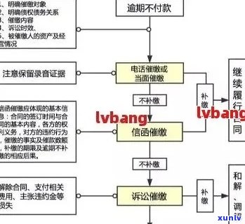 贷款逾期强制执行流程