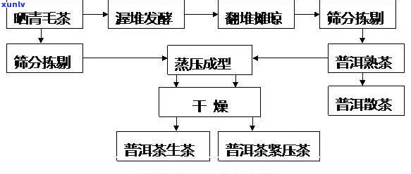 帕卡普洱茶加工工艺流程