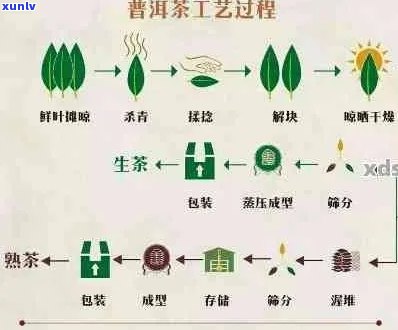 帕卡普洱茶加工工艺流程