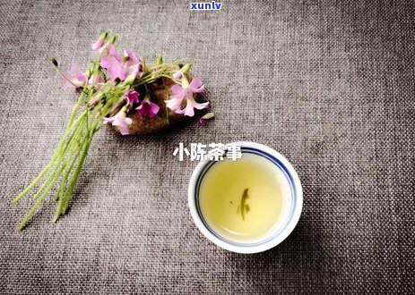 普洱茶加什么喝好