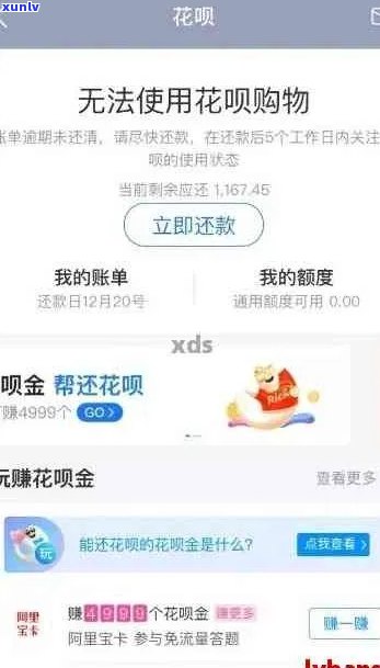 花呗逾期了钱也还不上怎么办