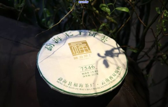 北京富硒普洱茶生产厂家