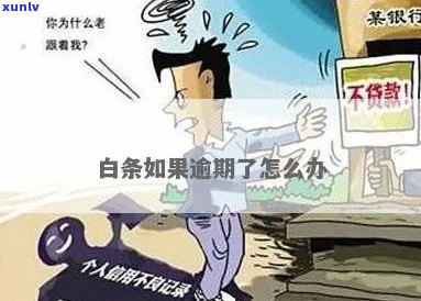 白条逾期4天影响大吗