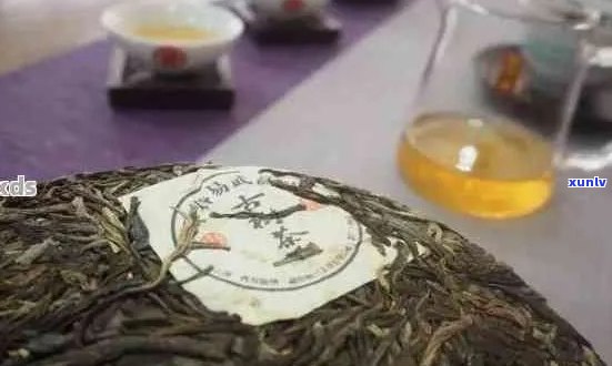 高原普洱茶好吗