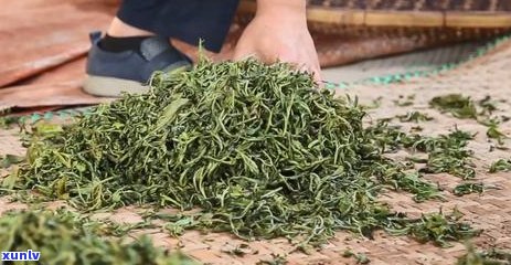 普洱茶的功效与作用及禁用