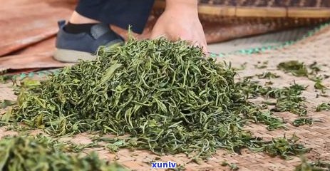 普洱茶的功效与作用及禁用