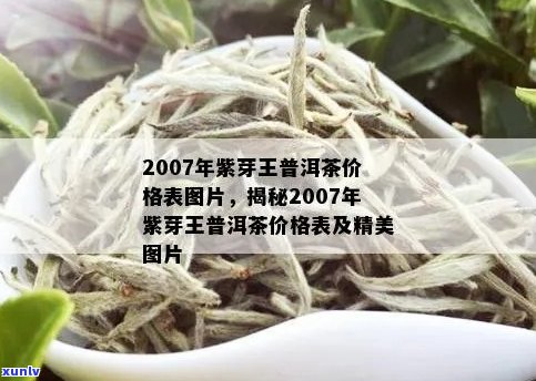 2007年紫芽普洱茶价格