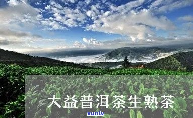 大益普洱茶促进生发