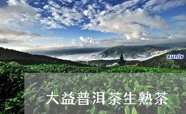 大益普洱茶促进生发