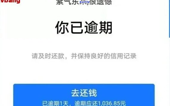 借呗逾期后会怎么样怎么解决