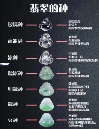 翡翠都分什么水种