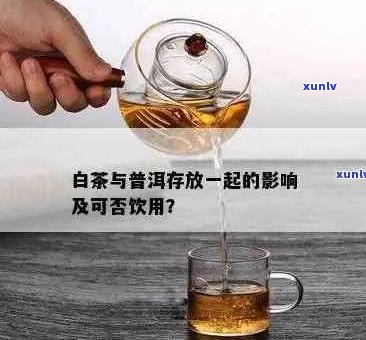 白茶和普洱茶放一起泡