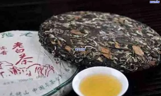 白茶和普洱茶放一起泡