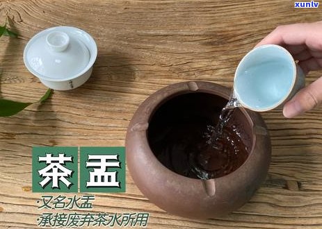 普洱茶跟绿茶的区别