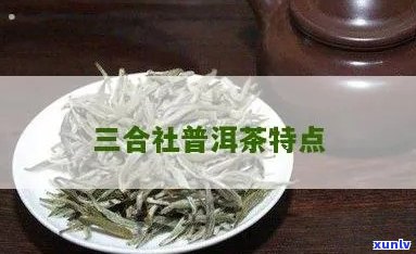 三合社普洱茶特点口感