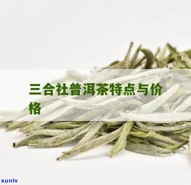 三合社普洱茶特点口感