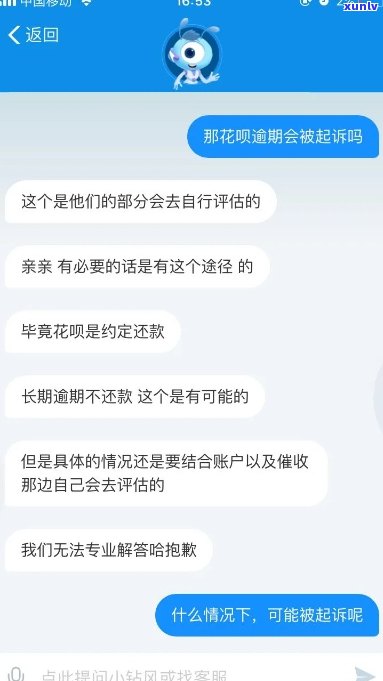 花呗还不上了经常说要起诉我