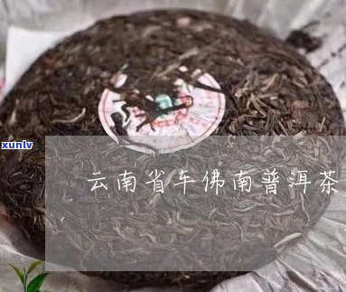 07年车佛南普洱茶价格