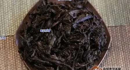 普洱茶熟茶渣滓