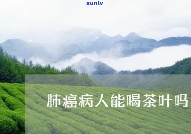 肺癌术后可以喝茶吗