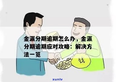 厂家金融分期逾期了怎么办及后果