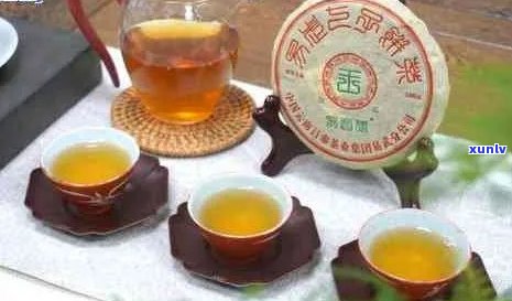 普洱茶老茶怎么喝